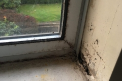 Moisture can create mold and rot in the sill and walls around it, which can lead to bad air quality, sickness and allergy flare ups